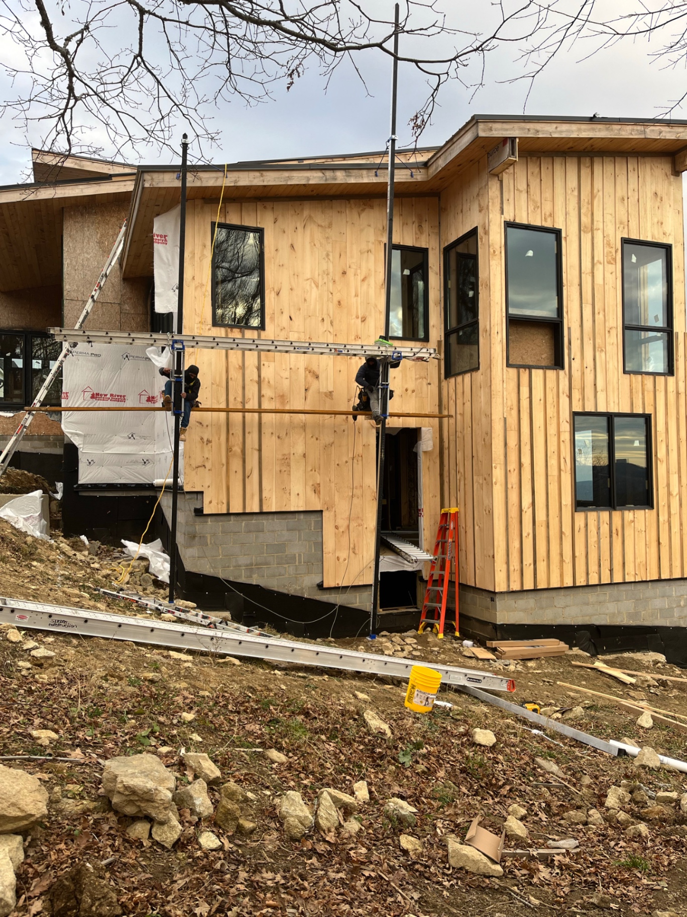 Modern Cedar Siding